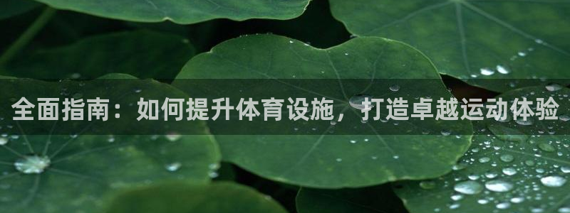 意昂体育3平台注册：全面指南：如何提升体育设施，打造