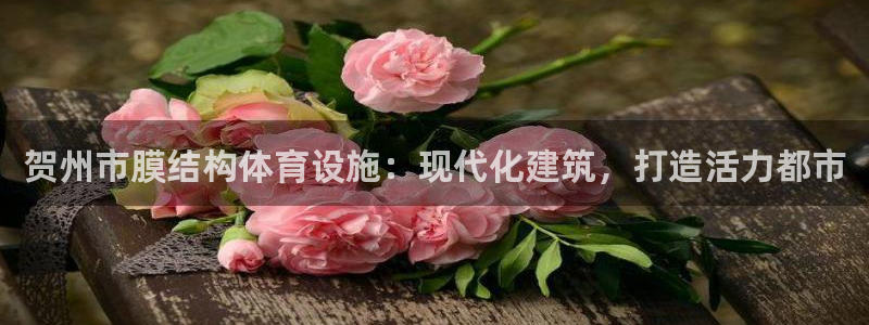 意昂3娱乐：贺州市膜结构体育设施：现代化建筑，打造活