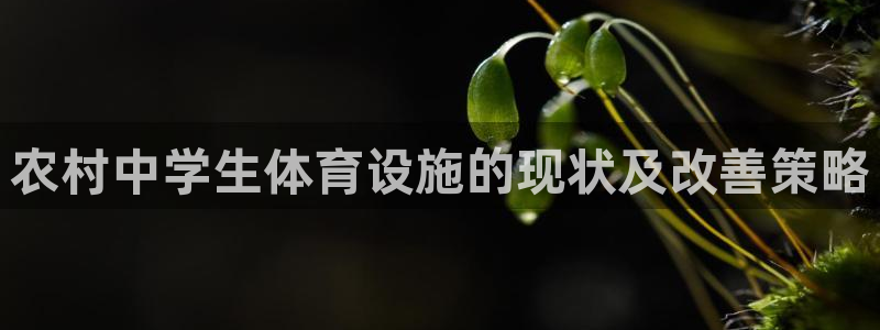 意昂3新能源：农村中学生体育设施的现状及改善策略