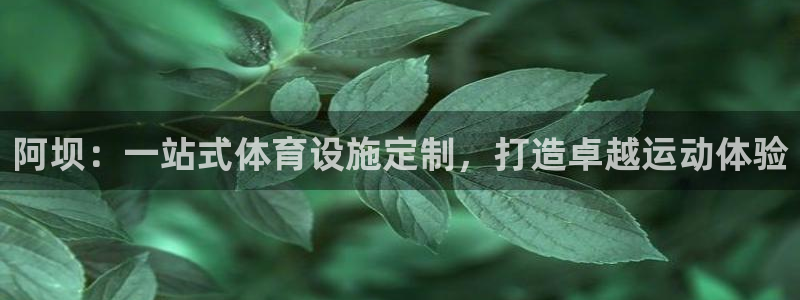 意昂3集团官网首页网址：阿坝：一站式体育设施定制，打