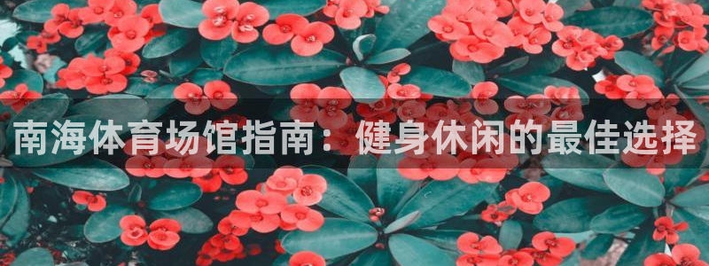 意昂体育3平台注册流程图：南海体育场馆指南：健身休闲