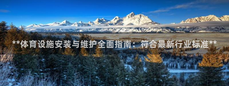 意昂3集团简介：**体育设施安装与维护全面指南：符合