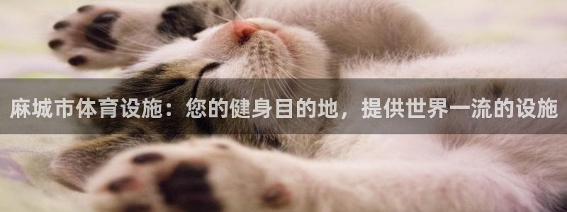 意昂3五金厂：麻城市体育设施：您的健身目的地，提供世