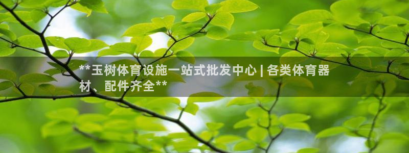 意昂3集团官网网址：**玉树体育设施一站式批发中心 