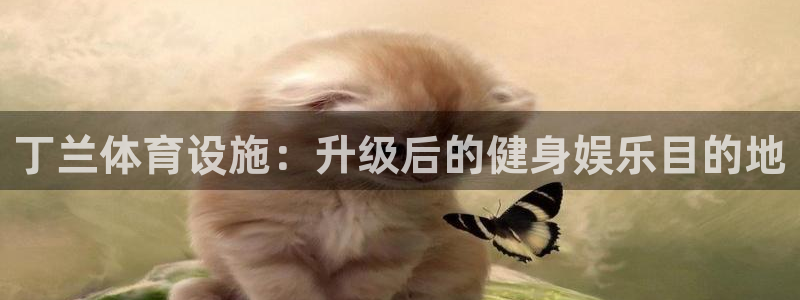 意昂体育3平台是正规平台吗：丁兰体育设施：升级后的健