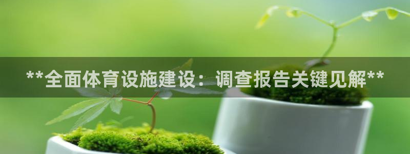 意昂体育3娱乐：**全面体育设施建设：调查报告关键见