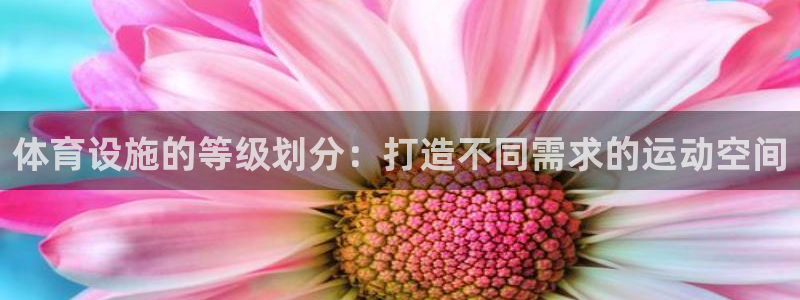 意昂体育3招商电话号码：体育设施的等级划分：打造不同