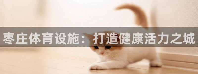 意昂3官方：枣庄体育设施：打造健康活力之城