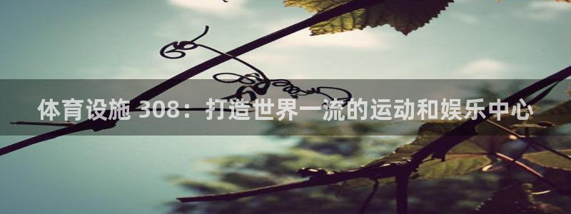 意昂3新能源：体育设施 308：打造世界一流的运动和