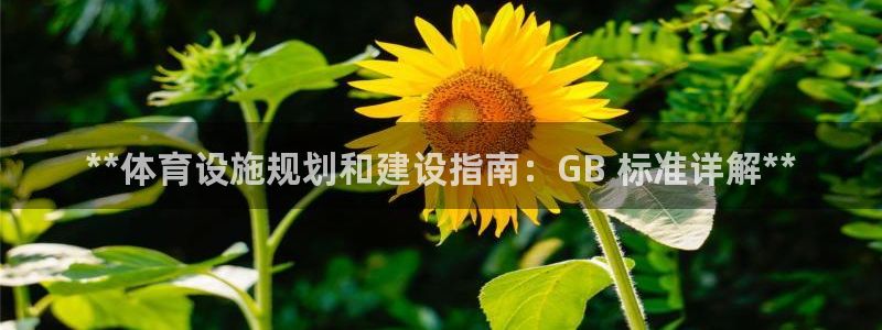 意昂体育3娱乐：**体育设施规划和建设指南：GB 标