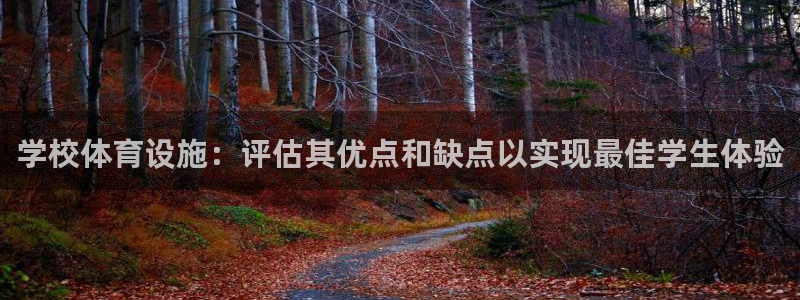 意昂3集团：学校体育设施：评估其优点和缺点以实现最佳