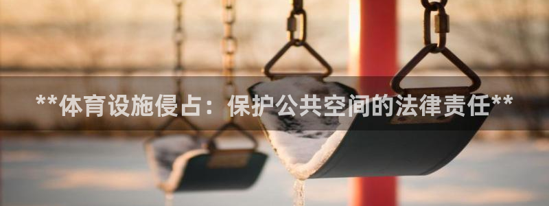 意昂体育3：**体育设施侵占：保护公共空间的法律责任