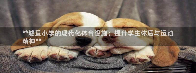 意昂体育3招商电话地址：**城里小学的现代化体育设施