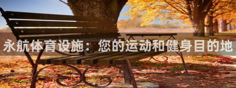 意昂体育3平台注册：永航体育设施：您的运动和健身目的