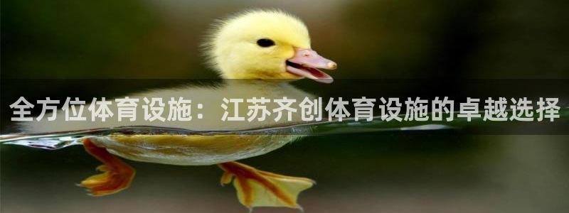 德国意昂3集团：全方位体育设施：江苏齐创体育设施的卓