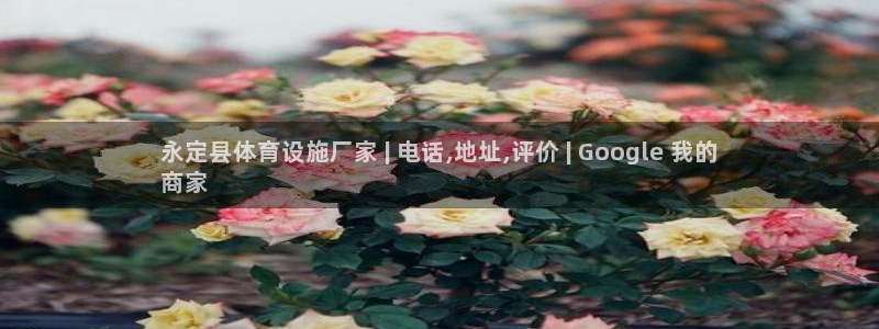 意昂体育3平台APP：永定县体育设施厂家 | 电话,