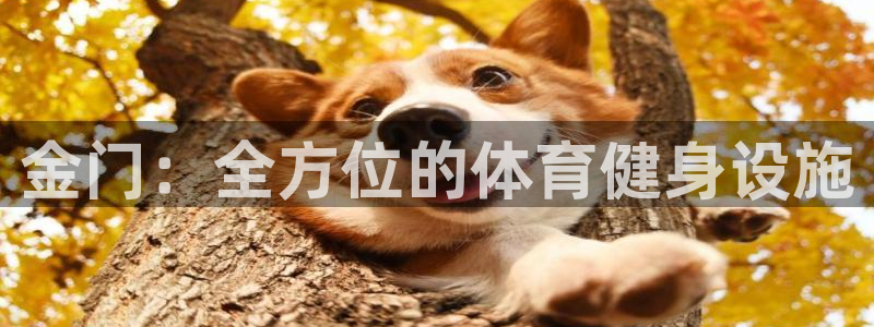 意昂3集团E.ON：金门：全方位的体育健身设施