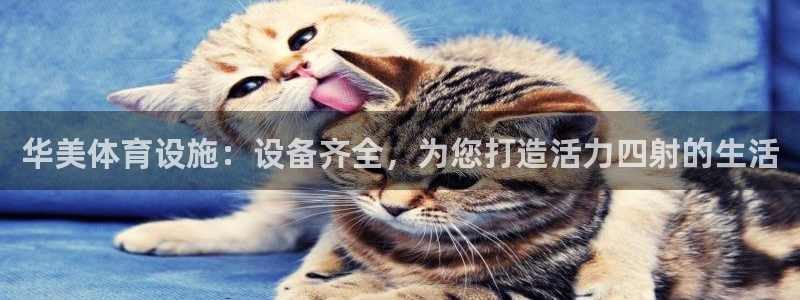 意昂体育3招商电话：华美体育设施：设备齐全，为您打造