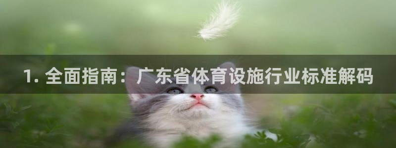 意昂3娱乐首页网站大全：1. 全面指南：广东省体育设