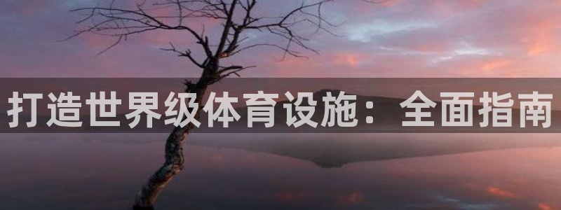 意昂体育3平台注册流程图：打造世界级体育设施：全面指