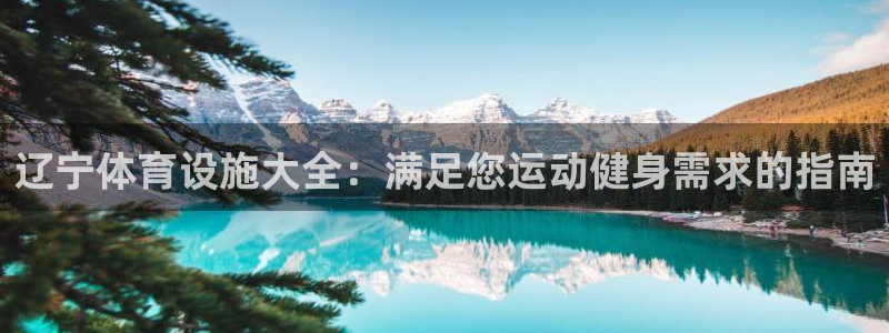 意昂3开户：辽宁体育设施大全：满足您运动健身需求的指