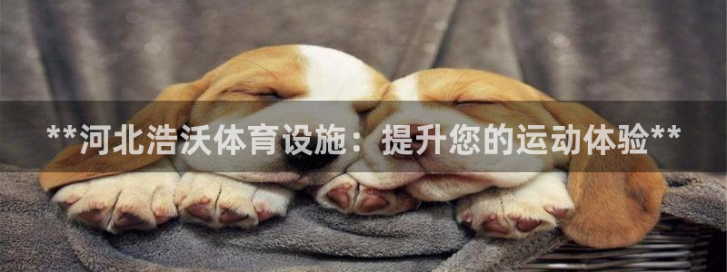 意昂体育3注册：**河北浩沃体育设施：提升您的运动体