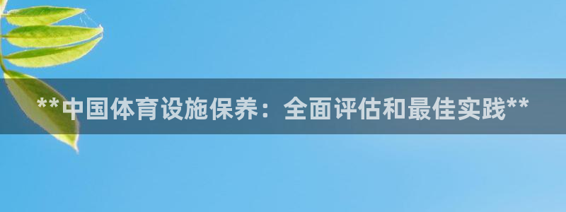 意昂体育3是干嘛的公司：**中国体育设施保养：全面评