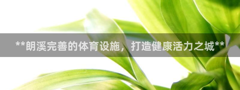 意昂3娱乐：**朗溪完善的体育设施，打造健康活力之城