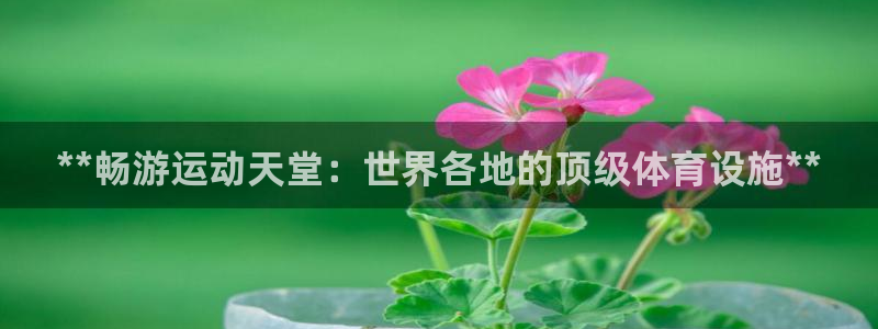 意昂3五金厂：**畅游运动天堂：世界各地的顶级体育设