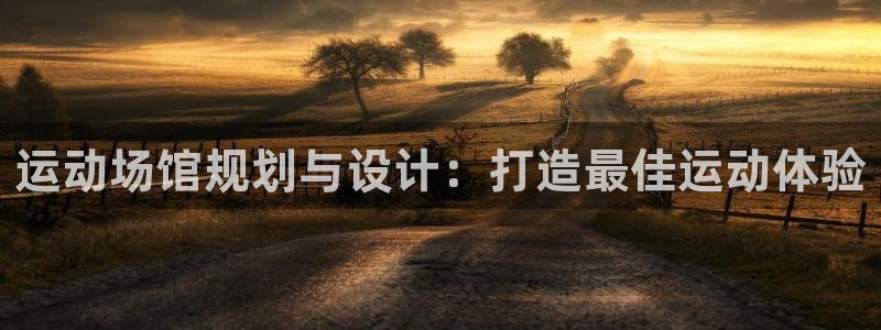 意昂3新能源：运动场馆规划与设计：打造最佳运动体验