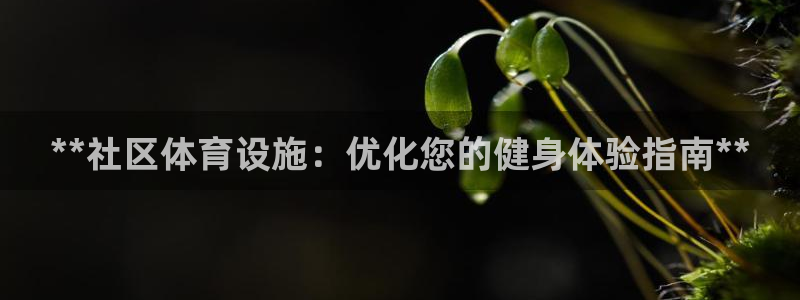 意昂体育3娱乐：**社区体育设施：优化您的健身体验指