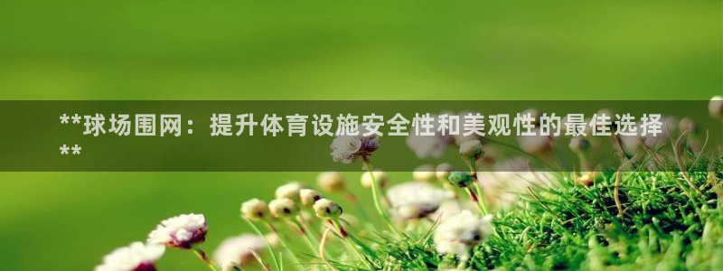 意昂3五金厂：**球场围网：提升体育设施安全性和美观