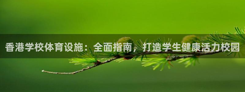 意昂体育3招商：香港学校体育设施：全面指南，打造学生