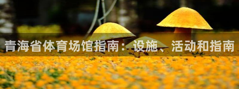 意昂体育3招商电话是多少：青海省体育场馆指南：设施、