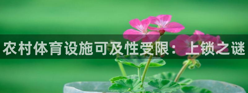 意昂3娱乐：农村体育设施可及性受限：上锁之谜