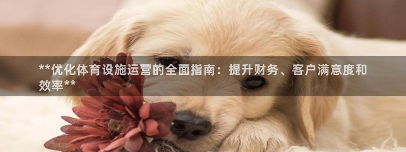 海南意昂体育3发展怎么样：**优化体育设施运营的全面