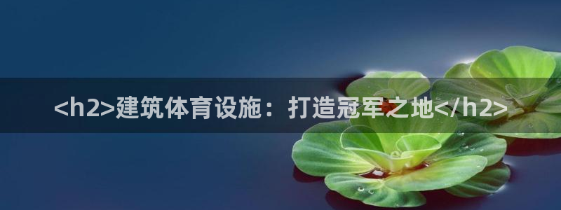 意昂3娱乐40996：<h2>建筑体育设施：打造冠军