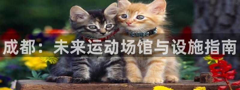 意昂3娱乐是那个系列的台子：成都：未来运动场馆与设施