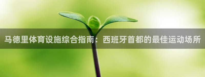 意昂体育3招商：马德里体育设施综合指南：西班牙首都的