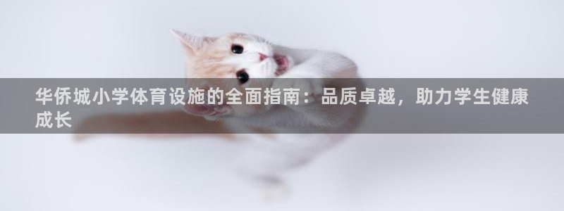 意昂3集团简介：华侨城小学体育设施的全面指南：品质卓
