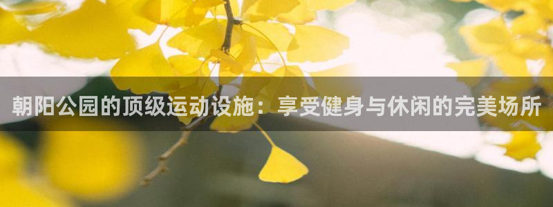 意昂体育3平台是正规平台吗知乎：朝阳公园的顶级运动设