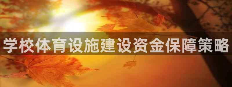 意昂体育3软件：学校体育设施建设资金保障策略