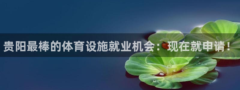 意昂3娱乐代理怎么样：贵阳最棒的体育设施就业机会：现