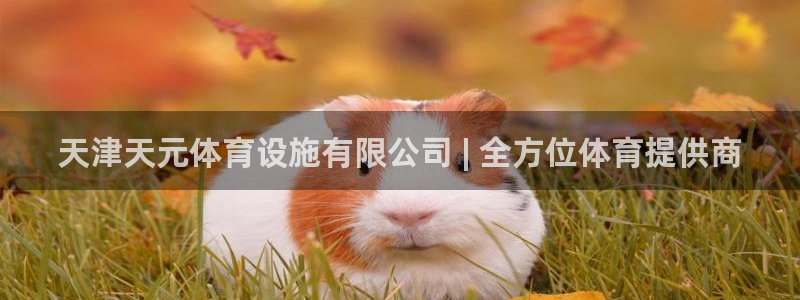 意昂体育3平台是正规平台吗：天津天元体育设施有限公司
