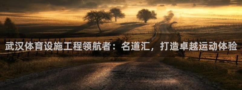 意昂体育3招商电话是多少啊：武汉体育设施工程领航者：
