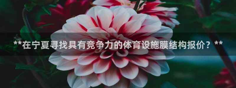 意昂3集团官网首页：**在宁夏寻找具有竞争力的体育设