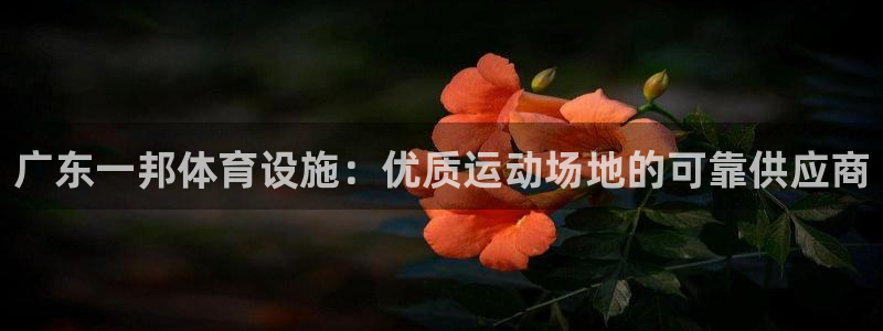 注册意昂3：广东一邦体育设施：优质运动场地的可靠供应