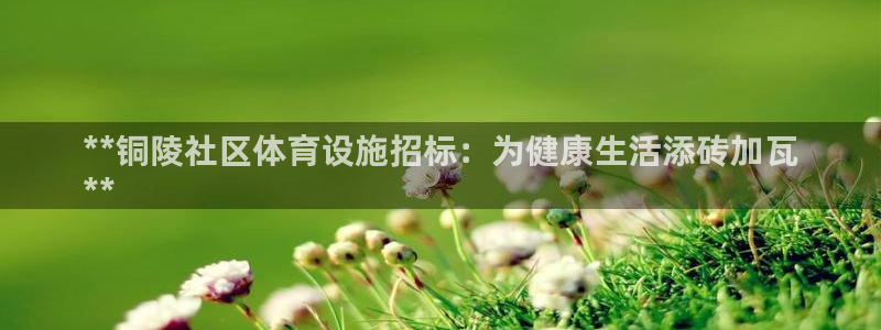 意昂体育3招商电话：**铜陵社区体育设施招标：为健康