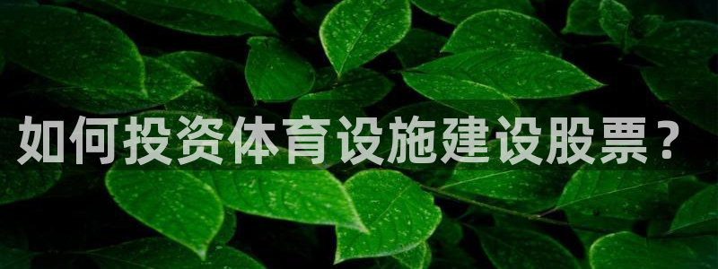 意昂体育3平台是正规平台吗：如何投资体育设施建设股票