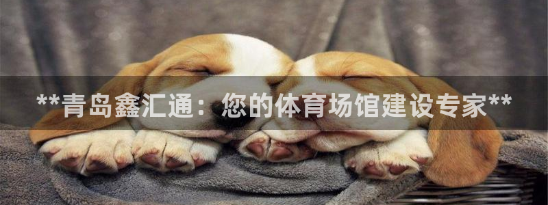 意昂3集团：**青岛鑫汇通：您的体育场馆建设专家**